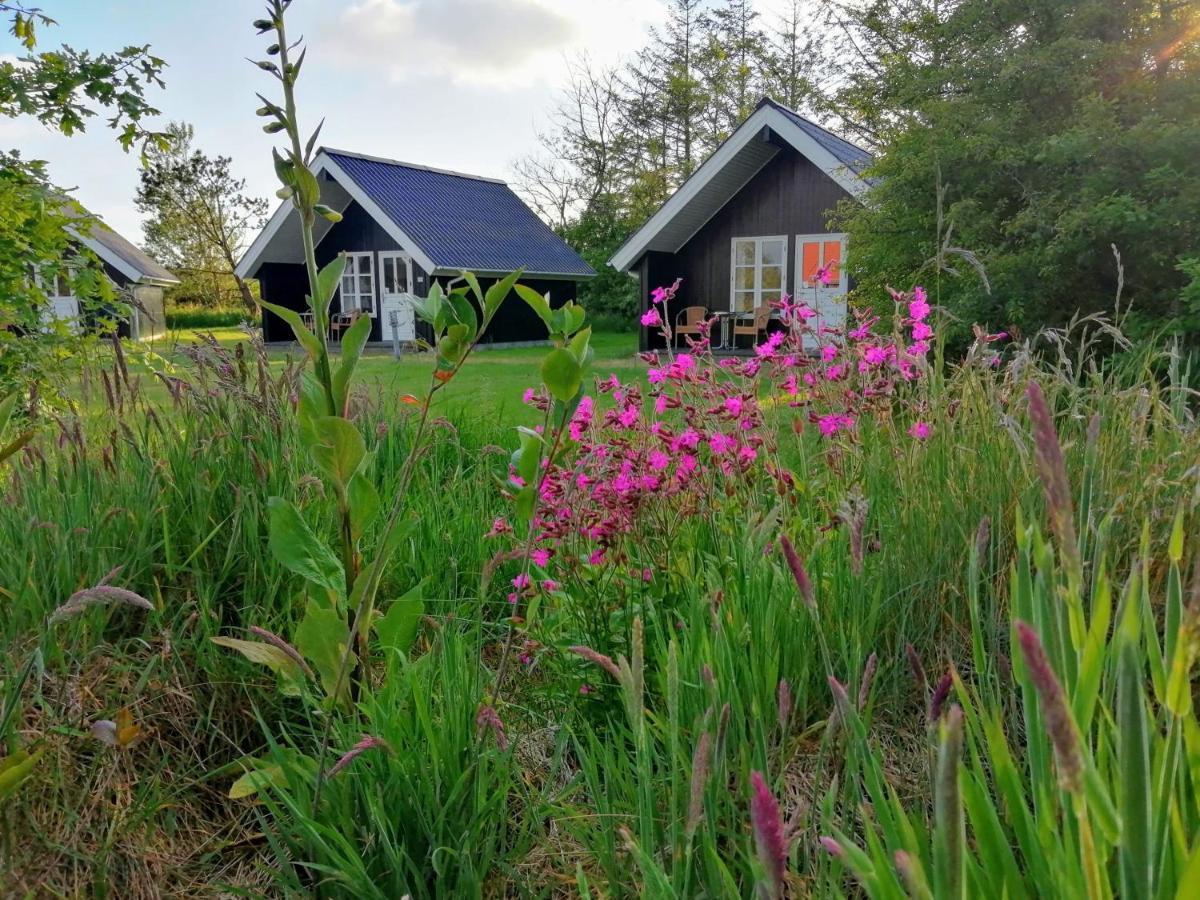 Lägenhetshotell Lindvig - Ferie I Naturen Nymindegab